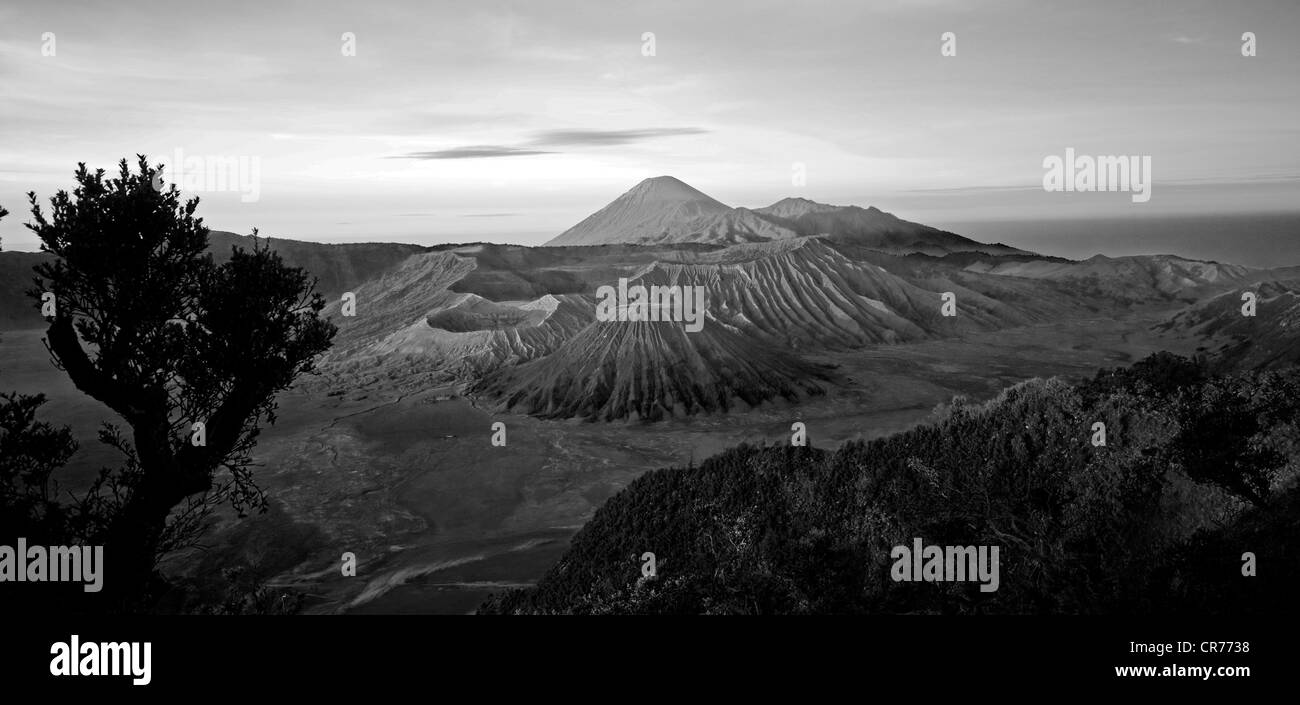 Bromo volcano valley Stock Photo