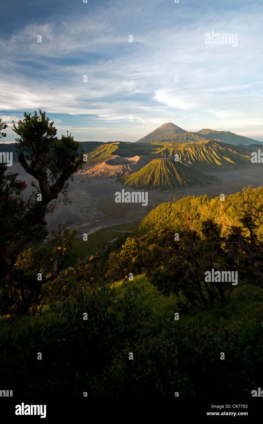 Bromo volcano valley Stock Photo