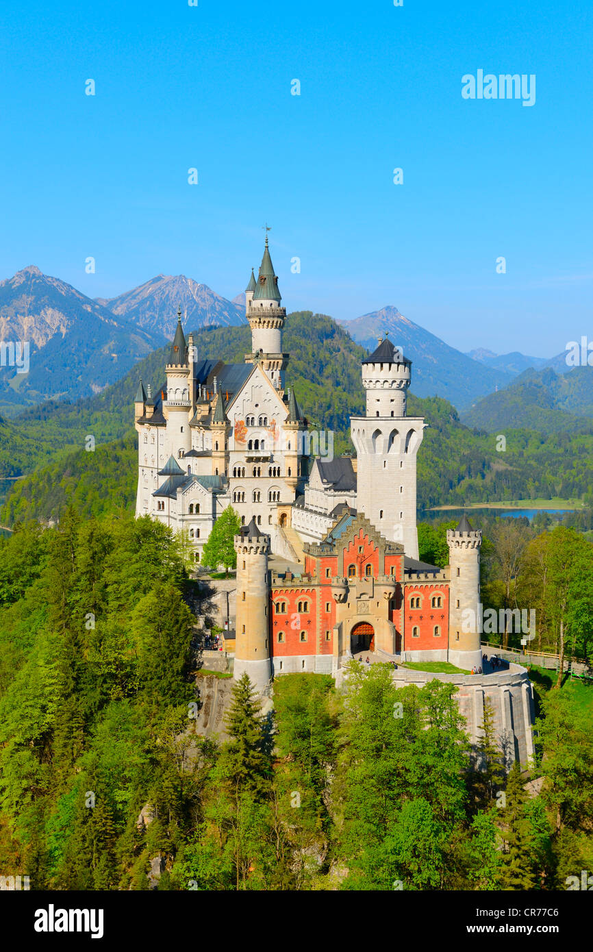 Schloss Neuschwanstein Castle, near Fussen, Ostallgaeu, Allgaeu, Bavaria, Germany, Europe Stock Photo