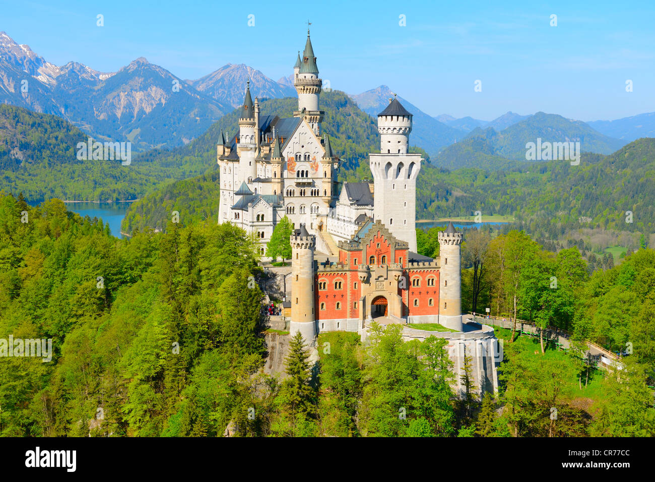Schloss Neuschwanstein Castle, near Fussen, Ostallgaeu, Allgaeu, Bavaria, Germany, Europe Stock Photo