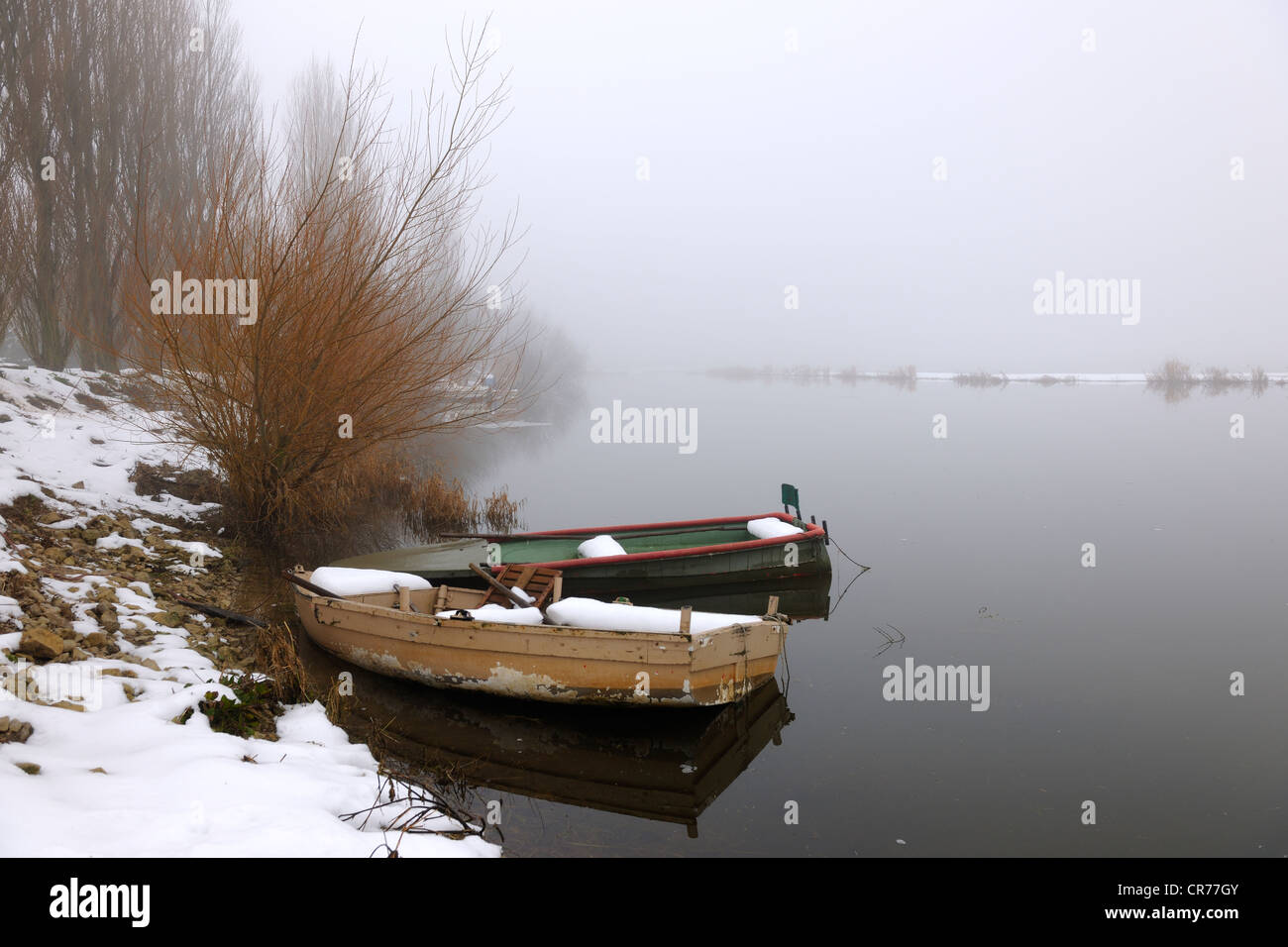 France, Manche, Cotentin, marshes of la Douve towards Liesville sur