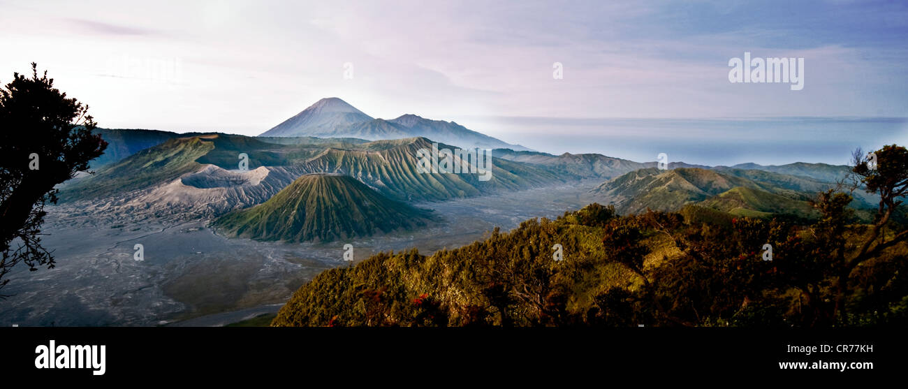 Bromo volcano valley Stock Photo