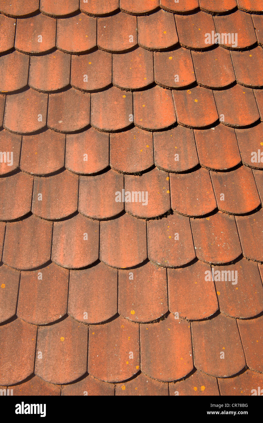 Biberschwanz roofing tiles Stock Photo