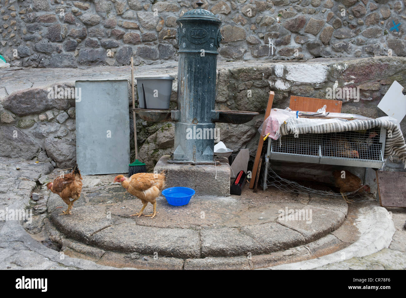 Chickens forage around a water pump, Porto, Portugal Stock Photo