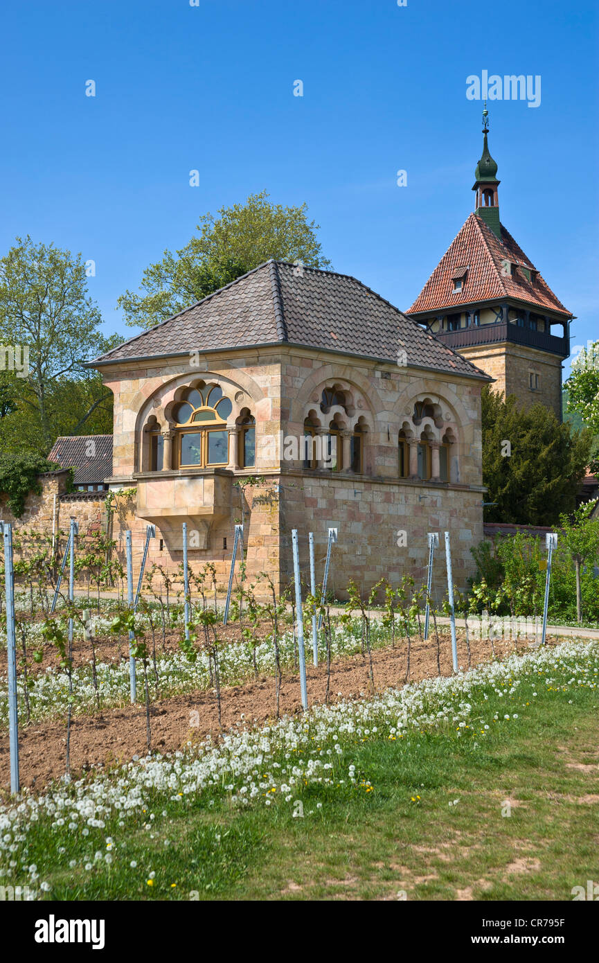 Geilweilerhof Institute for Grape Breeding, Siebeldingen, Suedliche Weinstrasse district, Palatinate region Stock Photo