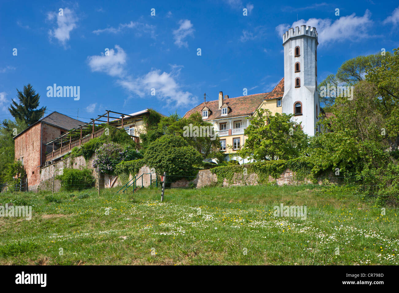 Slevogthof, Leinsweiler, Suedliche Weinstrasse district, Palatinate region, Rhineland-Palatinate, Germany, Europe Stock Photo