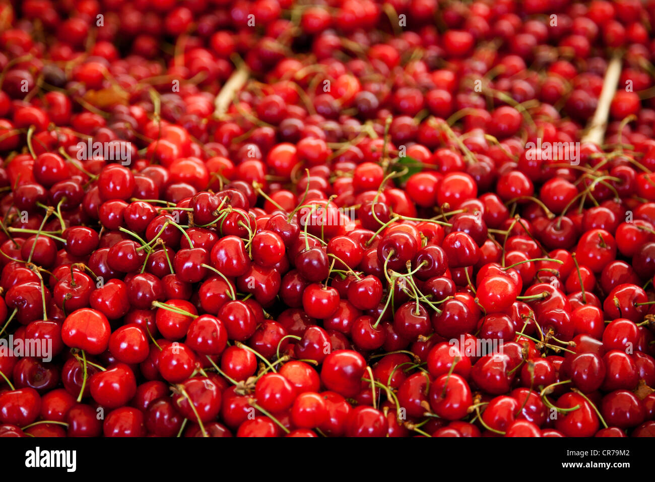 Fine ripe cherries, background texture Stock Photo - Alamy