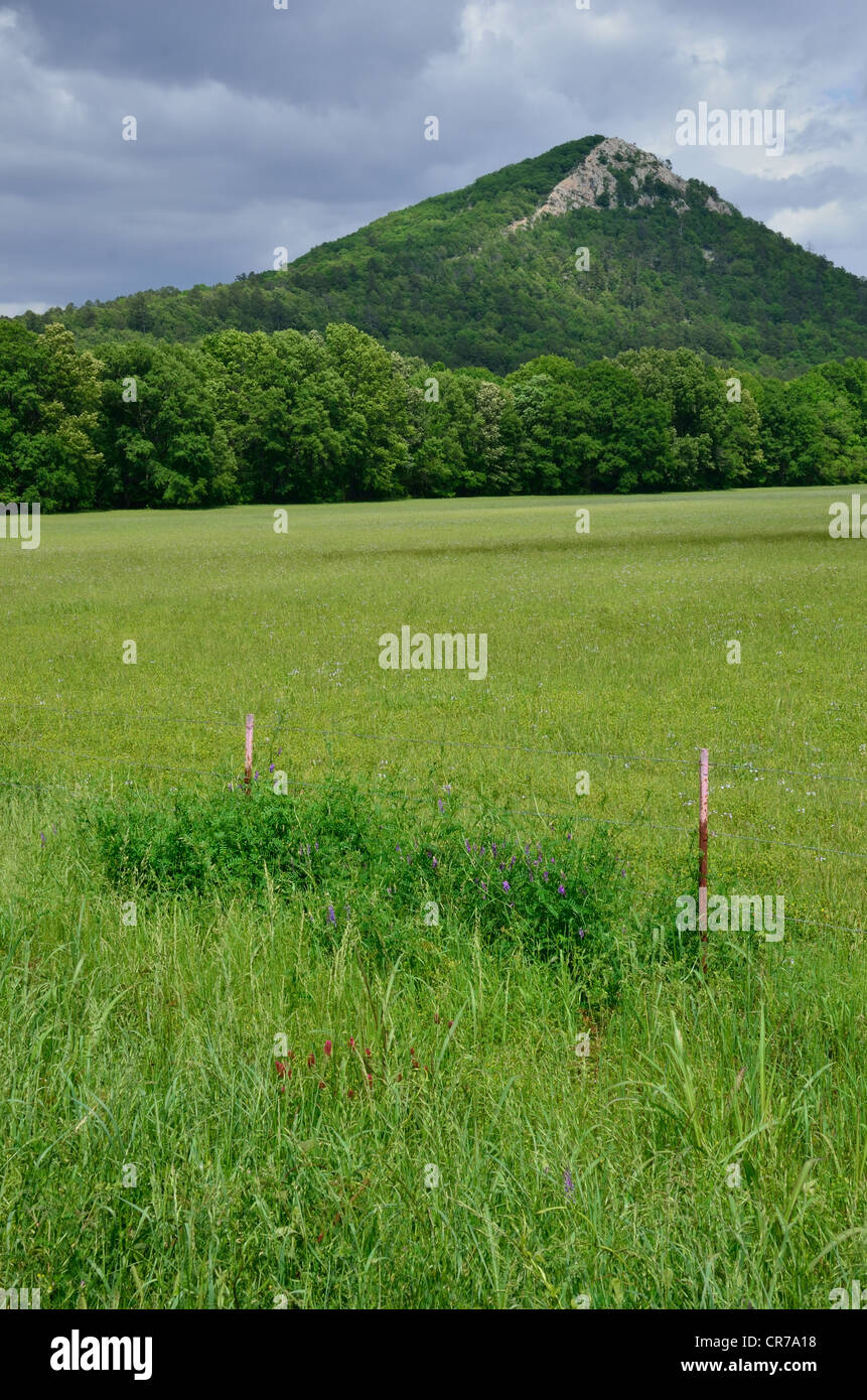 Pinnacle Mountain near Little Rock, Arkansas Stock Photo Alamy