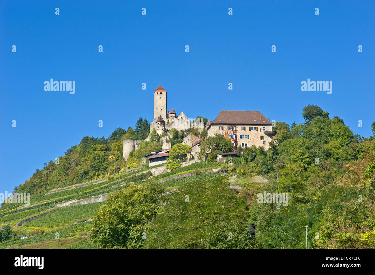 Burg Hornberg castle, Neckarzimmern, Neckartal, Baden-Wuerttemberg, Germany, Europe Stock Photo