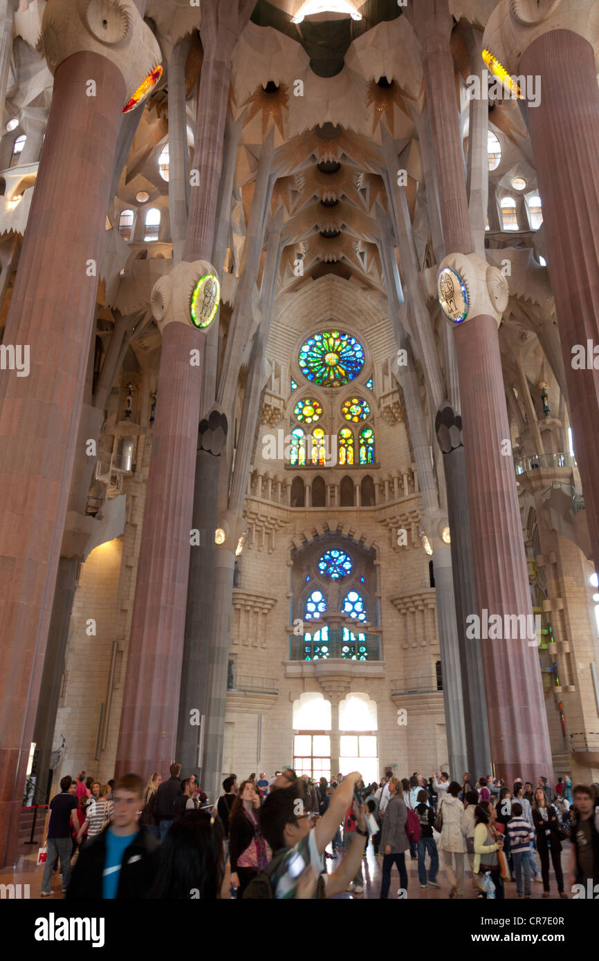 Tree-shaped pillars and ceiling, interior of Sagrada Familia, Basílica ...