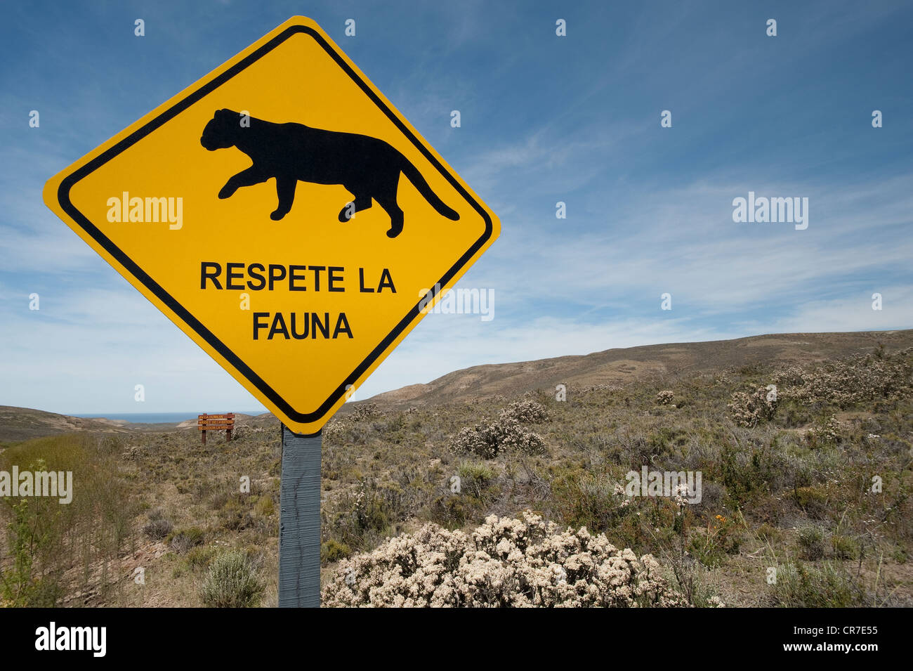 Board requesting to respect local fauna with puma Parque National Monte Leon Atlantic coast Santa Cruz Province Patagonia Stock Photo
