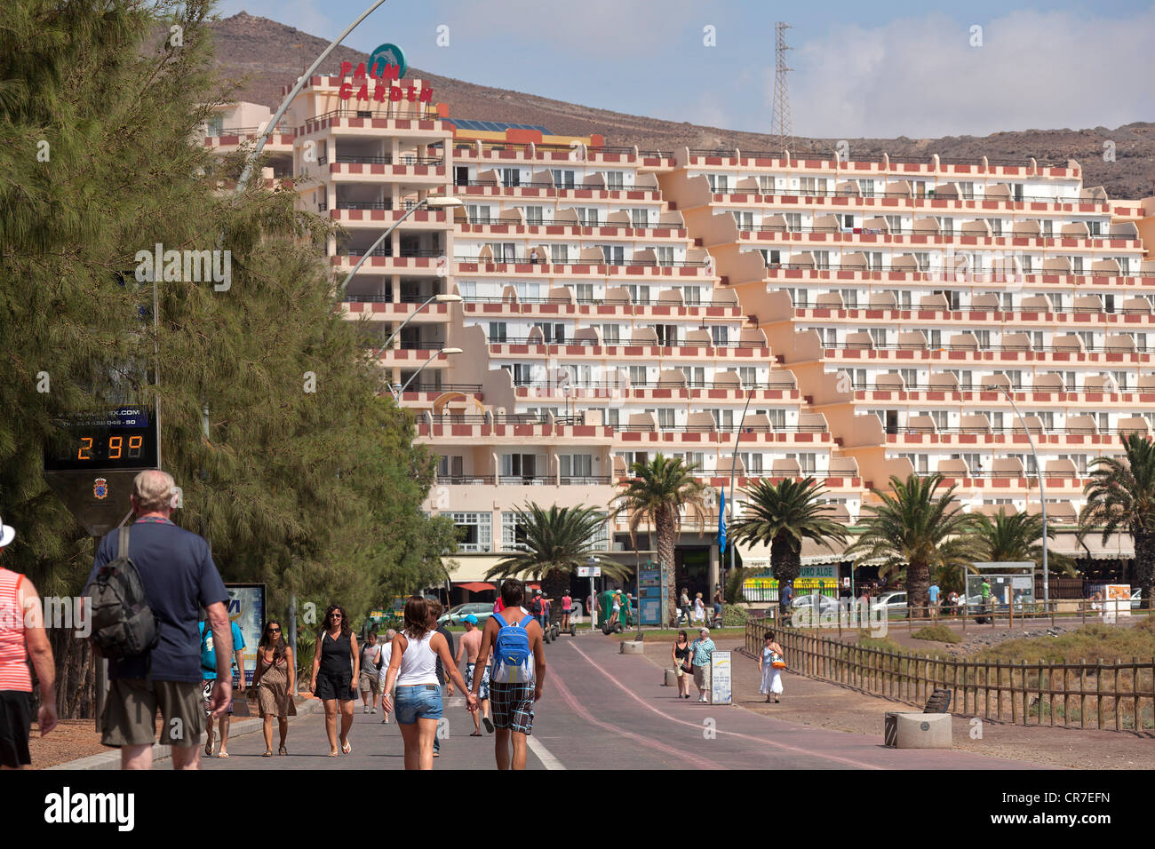 Palm garden, hotel resort, Jandia, Fuerteventura, Canary Islands, Spain, Europe Stock Photo