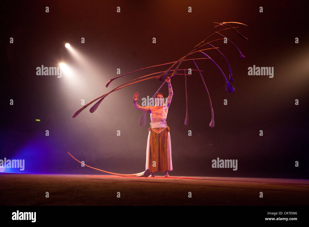 Balancing act where the Swiss performer Rigolo uses 13 palm branches to create a light suspended sculpture Stock Photo