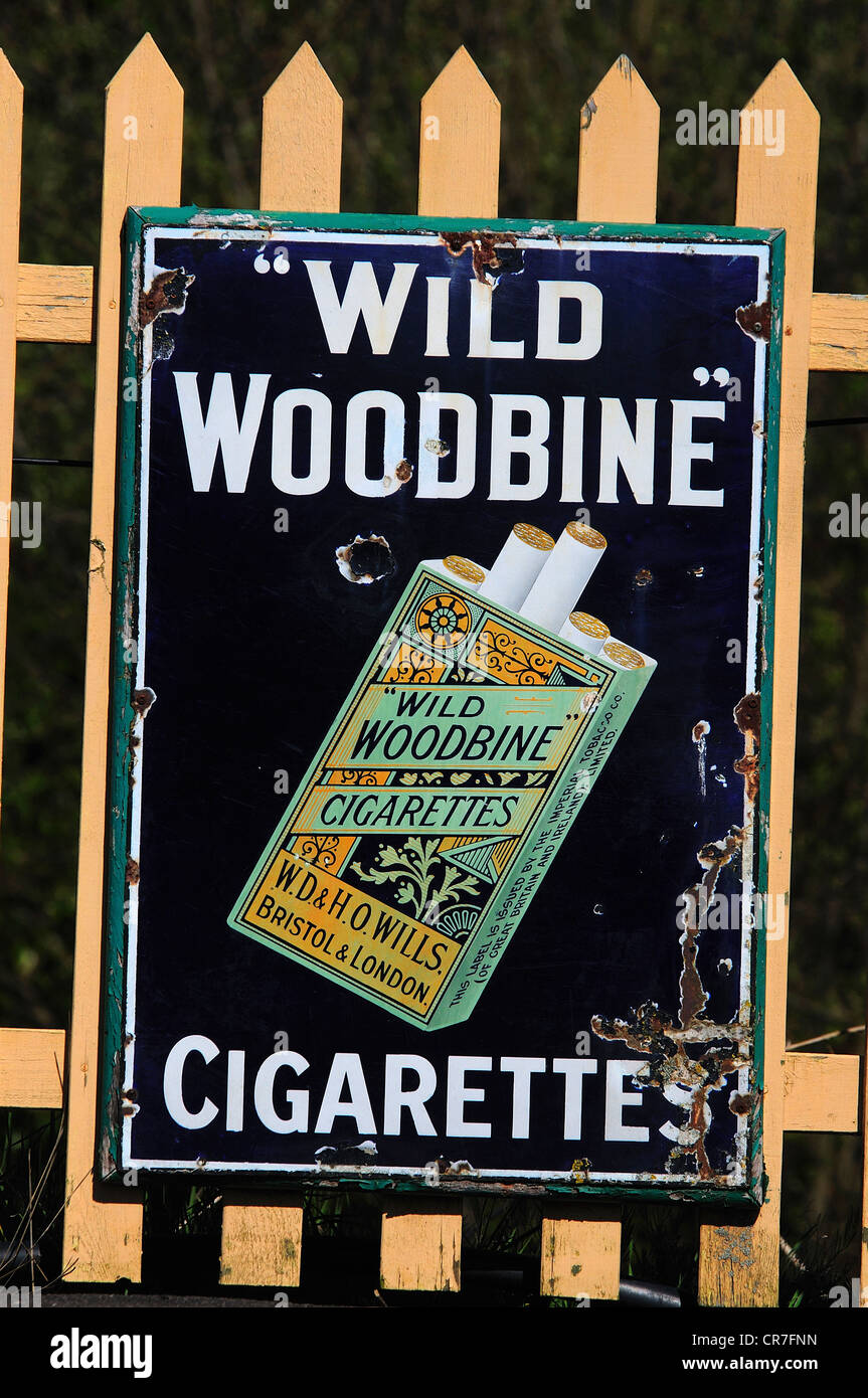 An old cigarette advertisement for Wills's Wild Woodbine tobacco UK