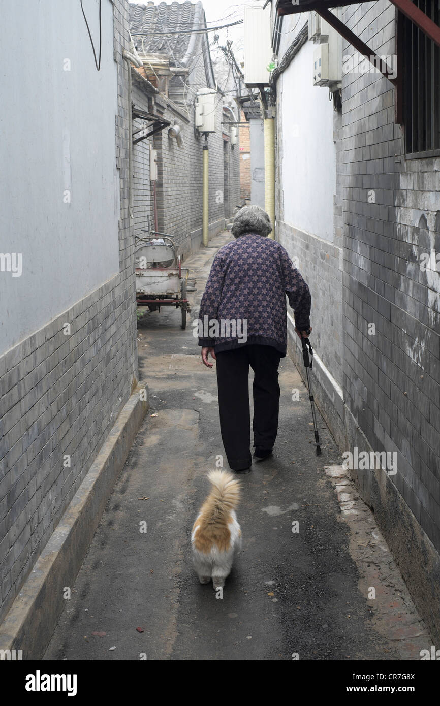 Elderly woman with pet cat in old traditional lane or hutong in Beijing China Stock Photo