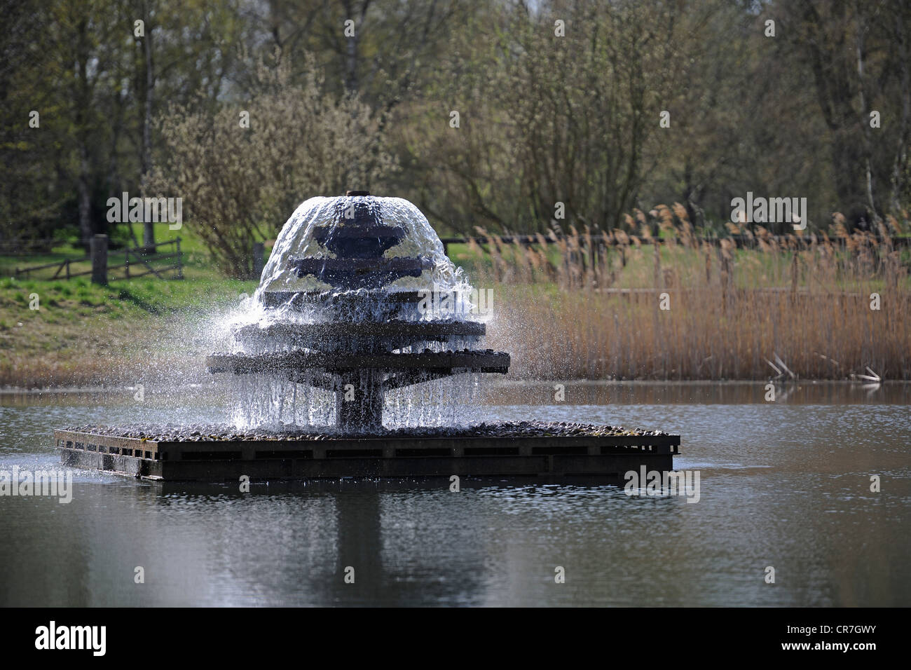 Fountain in a pond, Britzer Garten park, Berlin, Germany, Europe Stock Photo
