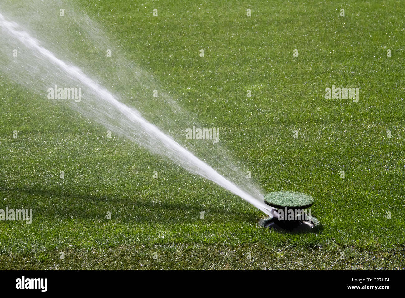 Sprinkler system watering green grasses Stock Photo Alamy