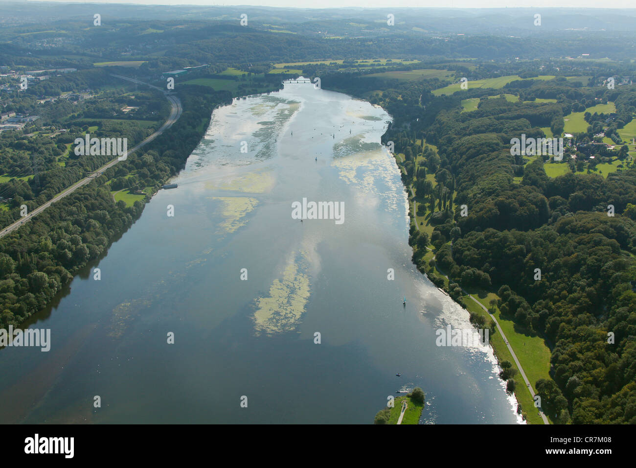 Aerial view, waterweeds, Elodea algae on the Kemnade Reservoir, Bochum, Ruhr Area, North Rhine-Westphalia, Germany, Europe Stock Photo