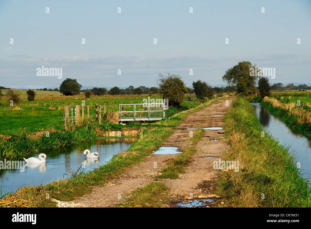 Curry Moor on the Somerset Levels UK Stock Photo