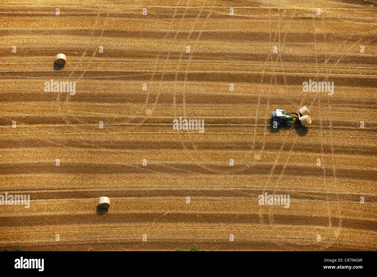 Aerial view, harvesting, straw bales and a tractor, Hamm, Ruhr area, North Rhine-Westphalia, Germany, Europe Stock Photo
