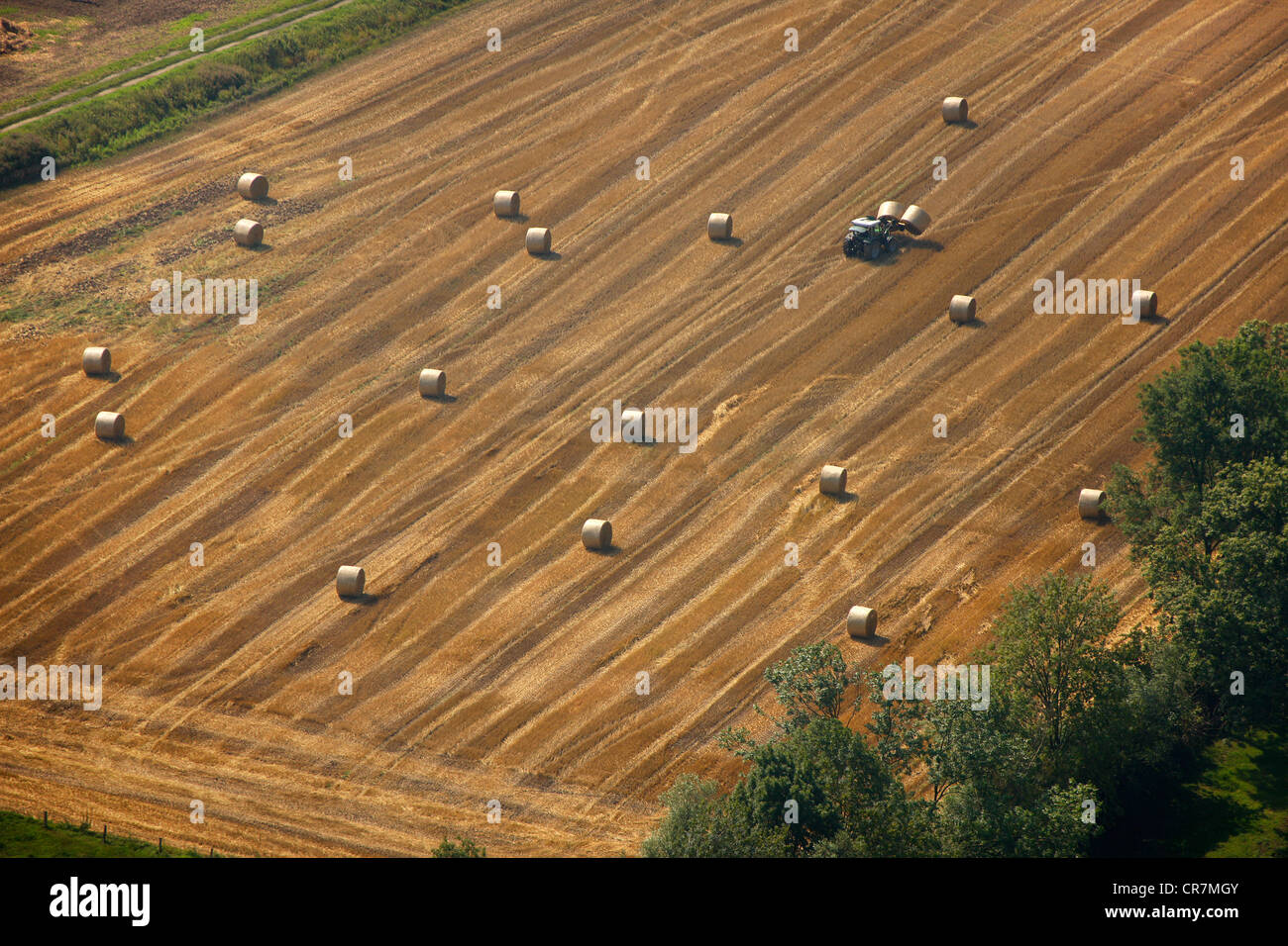 Aerial view, harvesting, straw bales and a tractor, Hamm, Ruhr area, North Rhine-Westphalia, Germany, Europe Stock Photo
