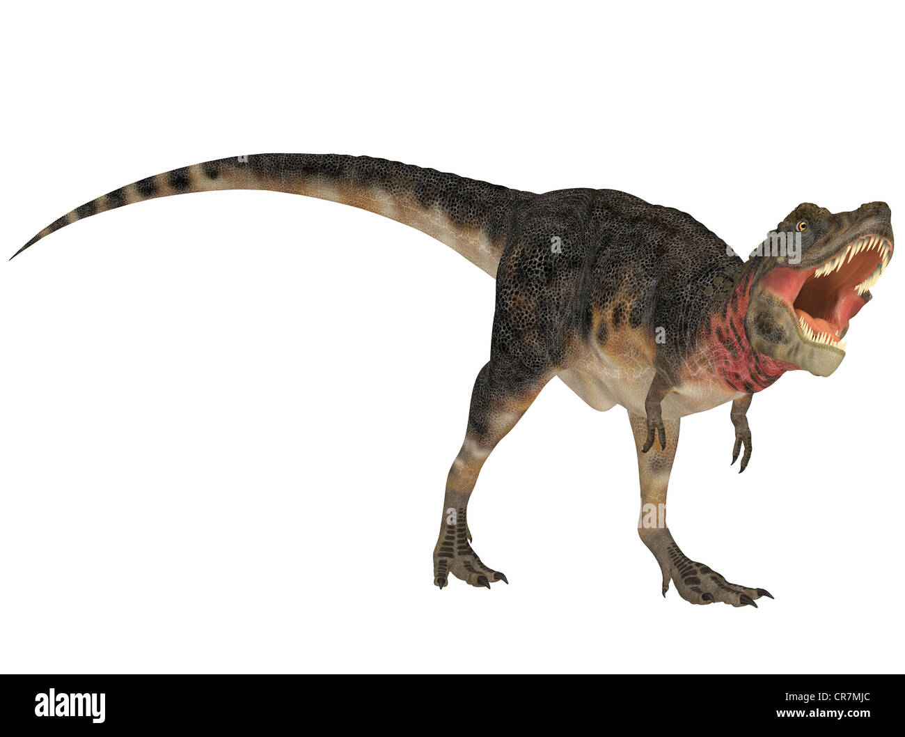 тарбозавр вики фэндом фото 58