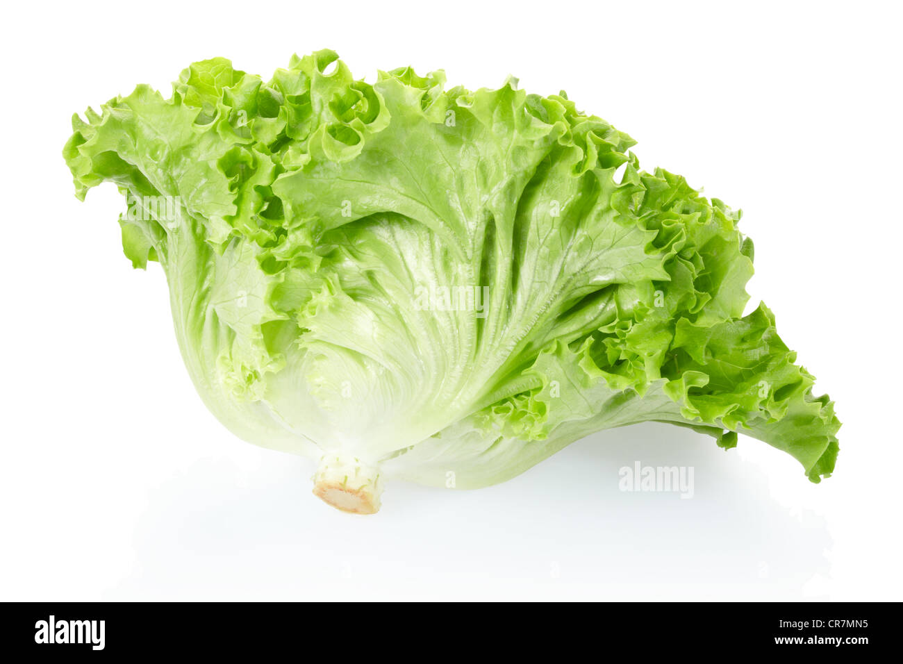 Salad, lettuce head Stock Photo Alamy