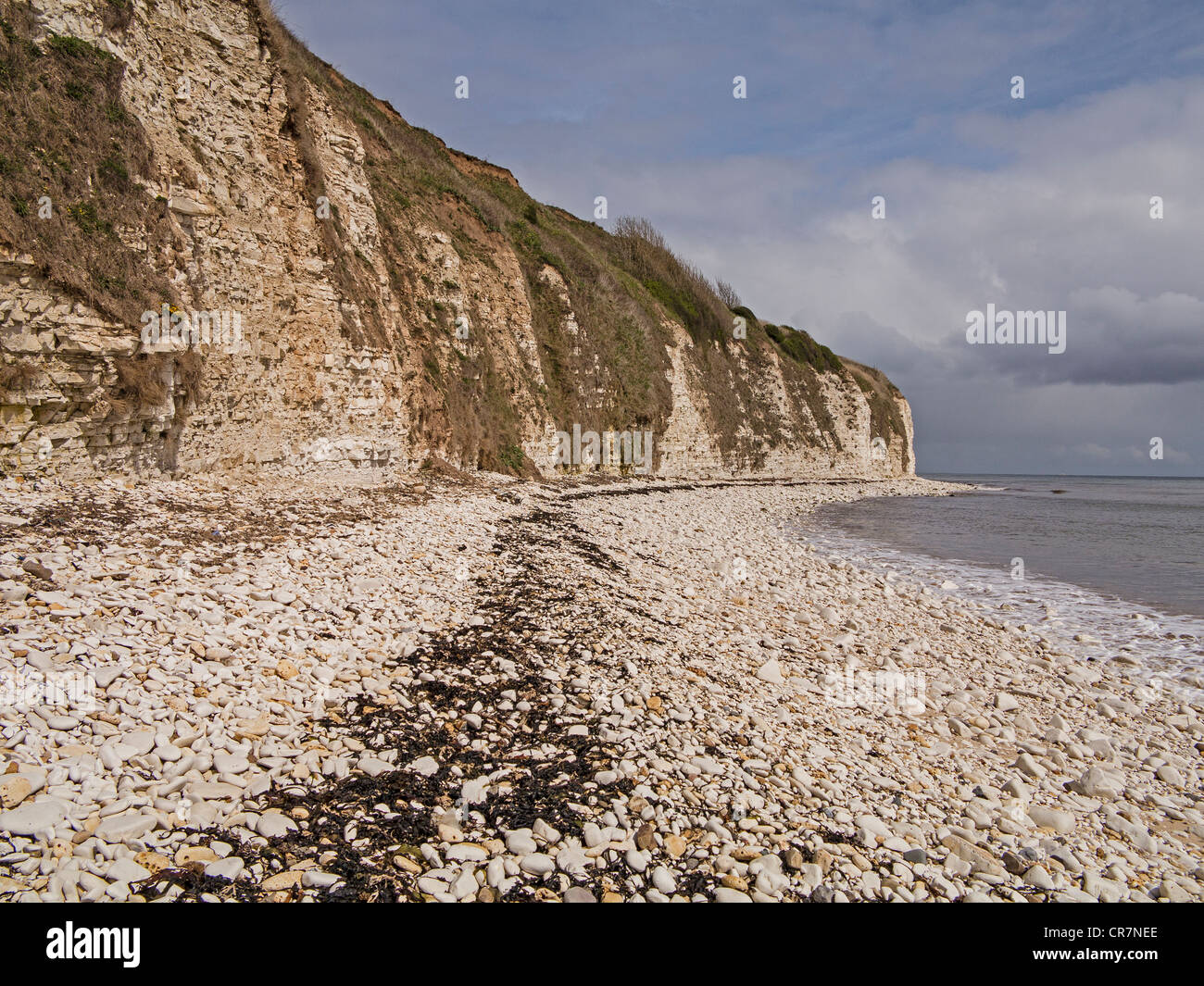 Upper Cretaceous chalk cliffs at Danes Dyke Flamborough Yorkshire UK