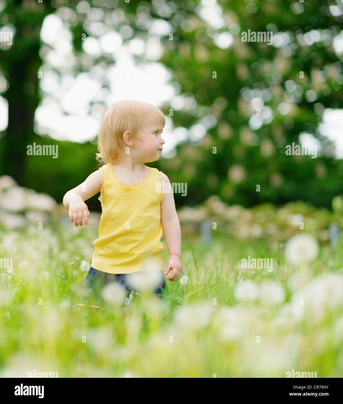 Baby girl on dandelions field looking back Stock Photo - Alamy