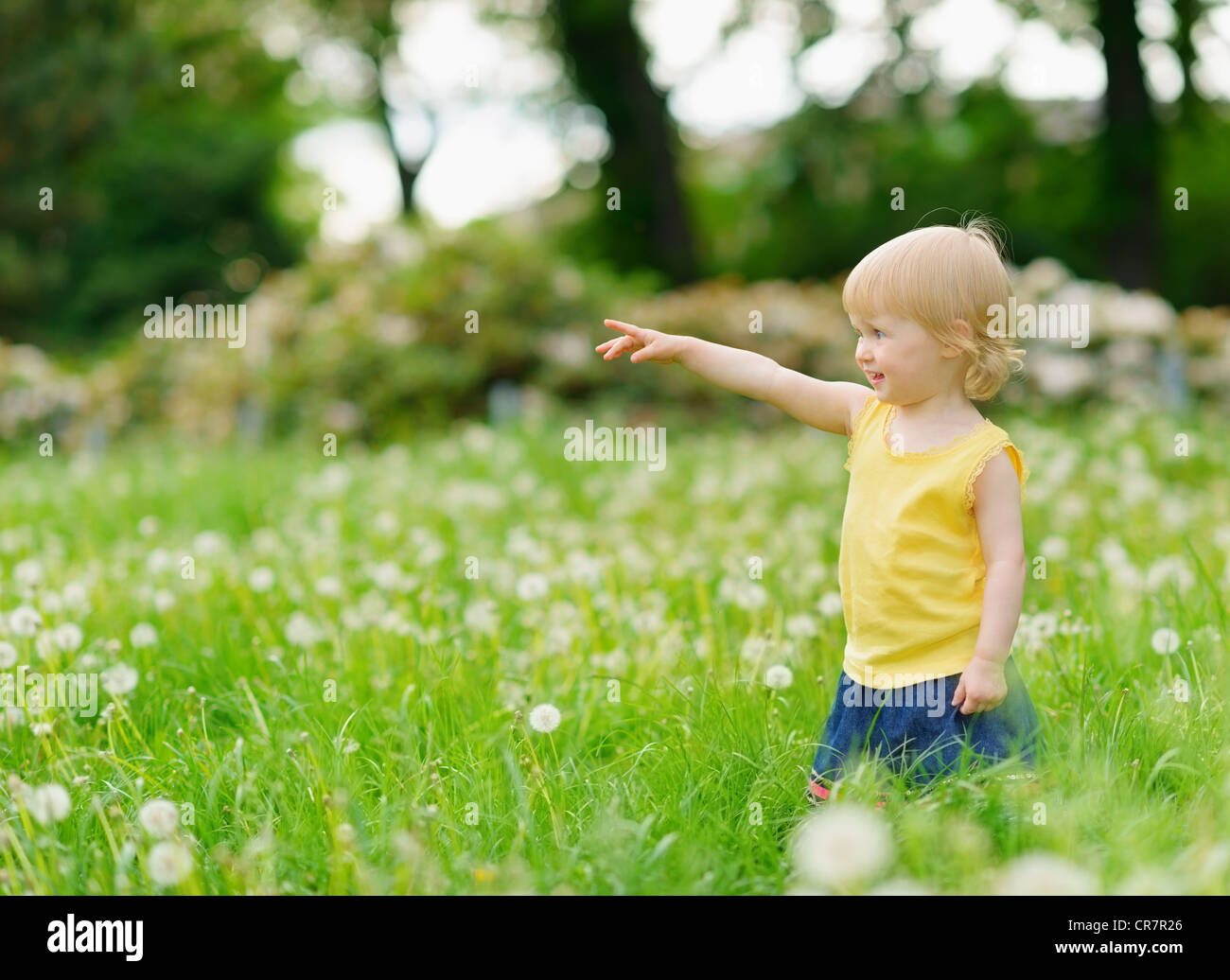 Baby girl on dandelions field pointing on copy space Stock Photo - Alamy