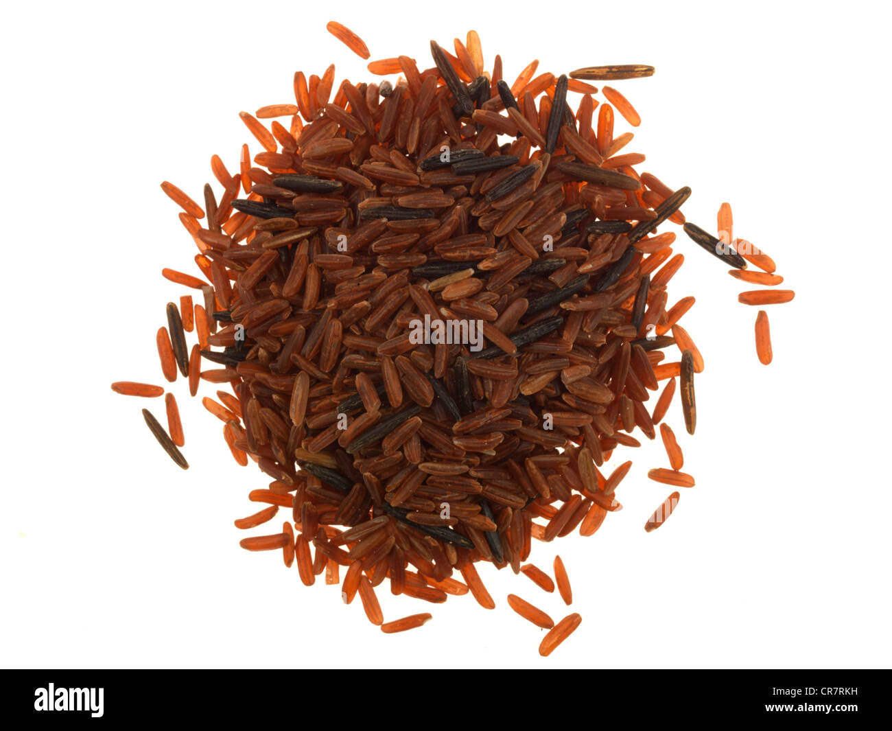 Red camargue hires stock photography and images Alamy