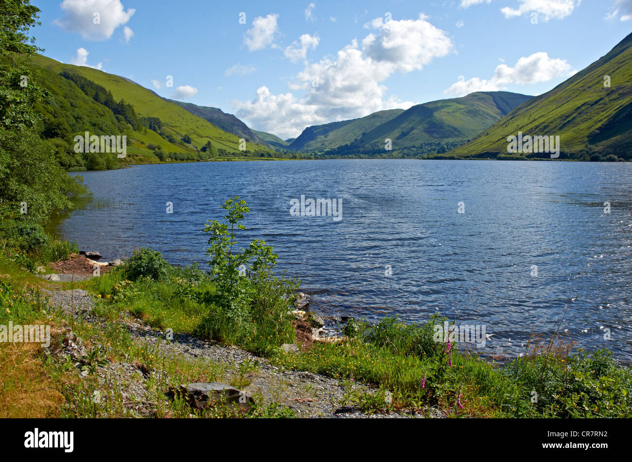 Talyllyn Lake also know as Talyllyn Lake or Llyn Mwyngil in Snowdonia