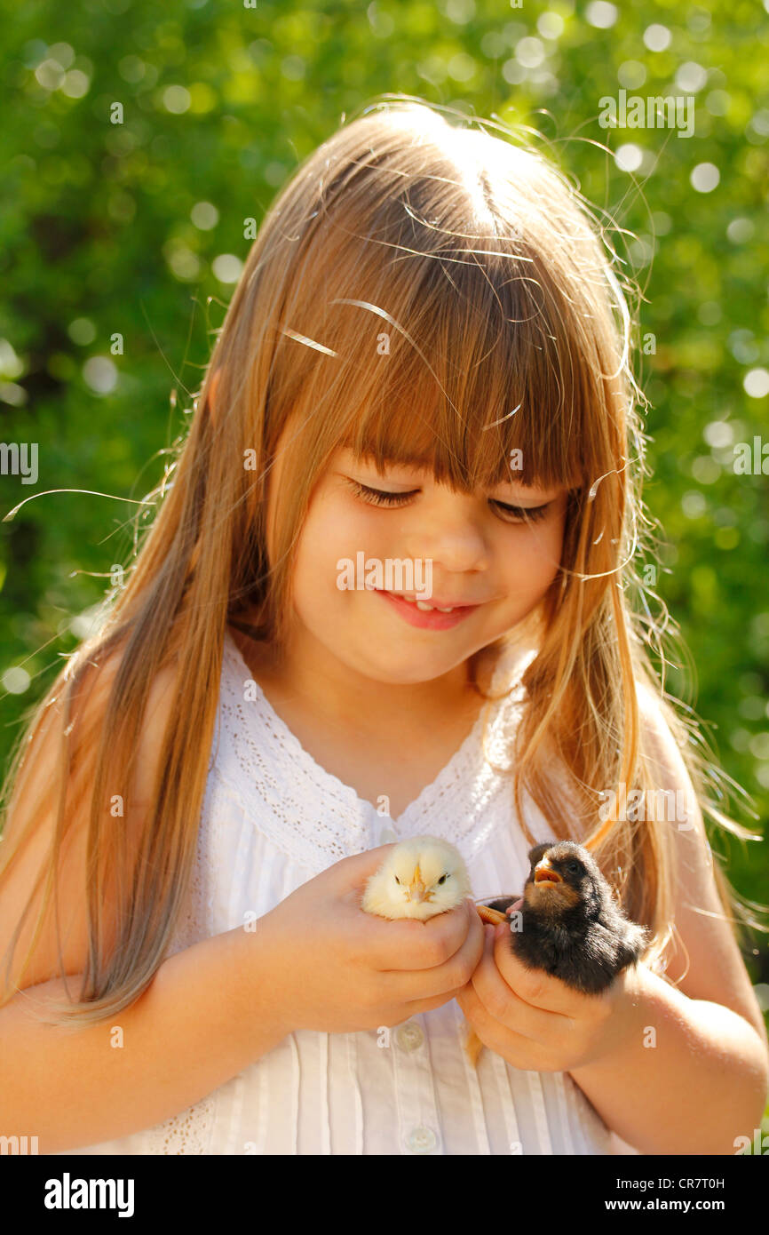 Little girl and chicks Stock Photo Alamy