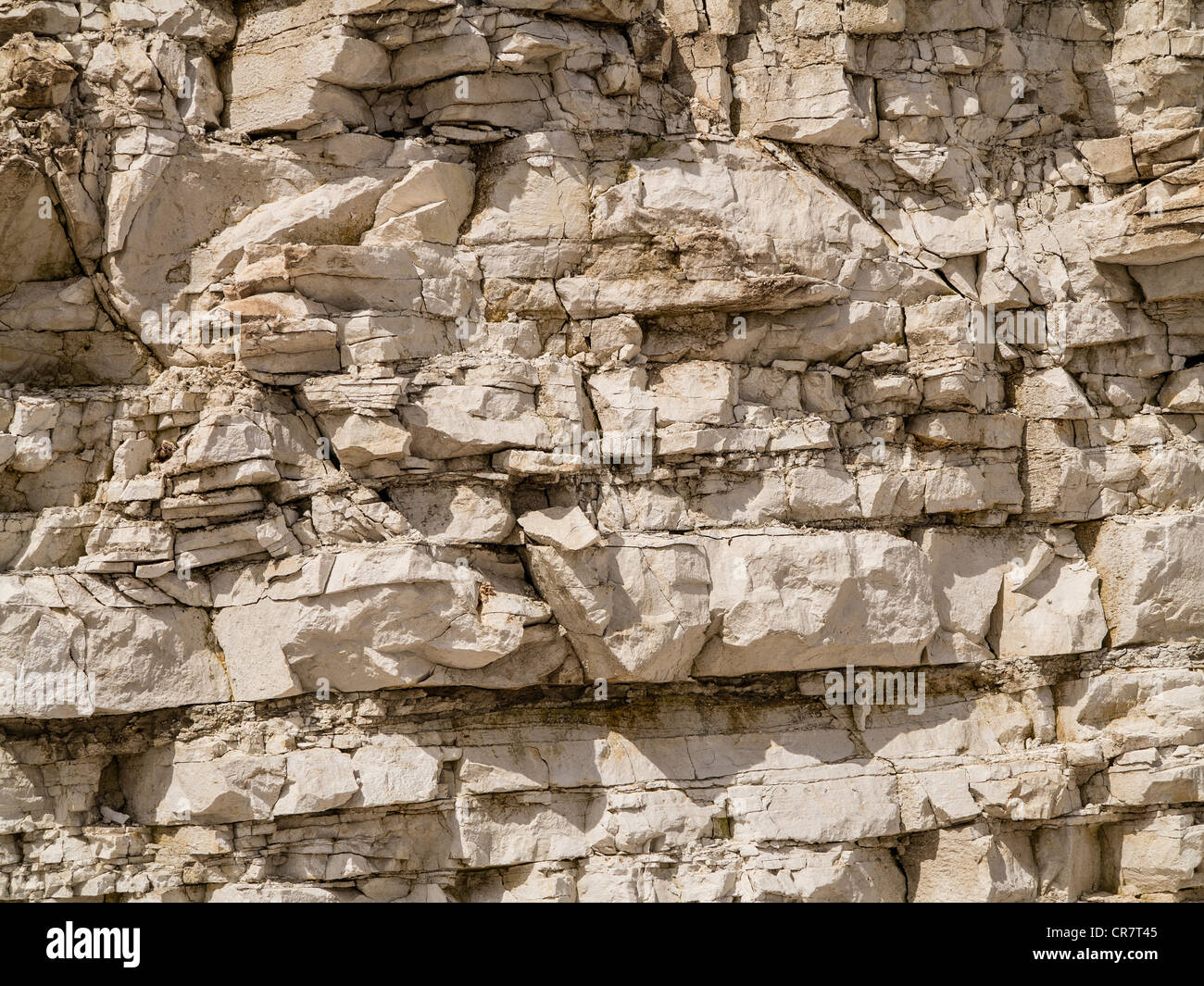 Detail of Upper Cretaceous chalk cliffs at Danes Dyke Flamborough Yorkshire UK Stock Photo