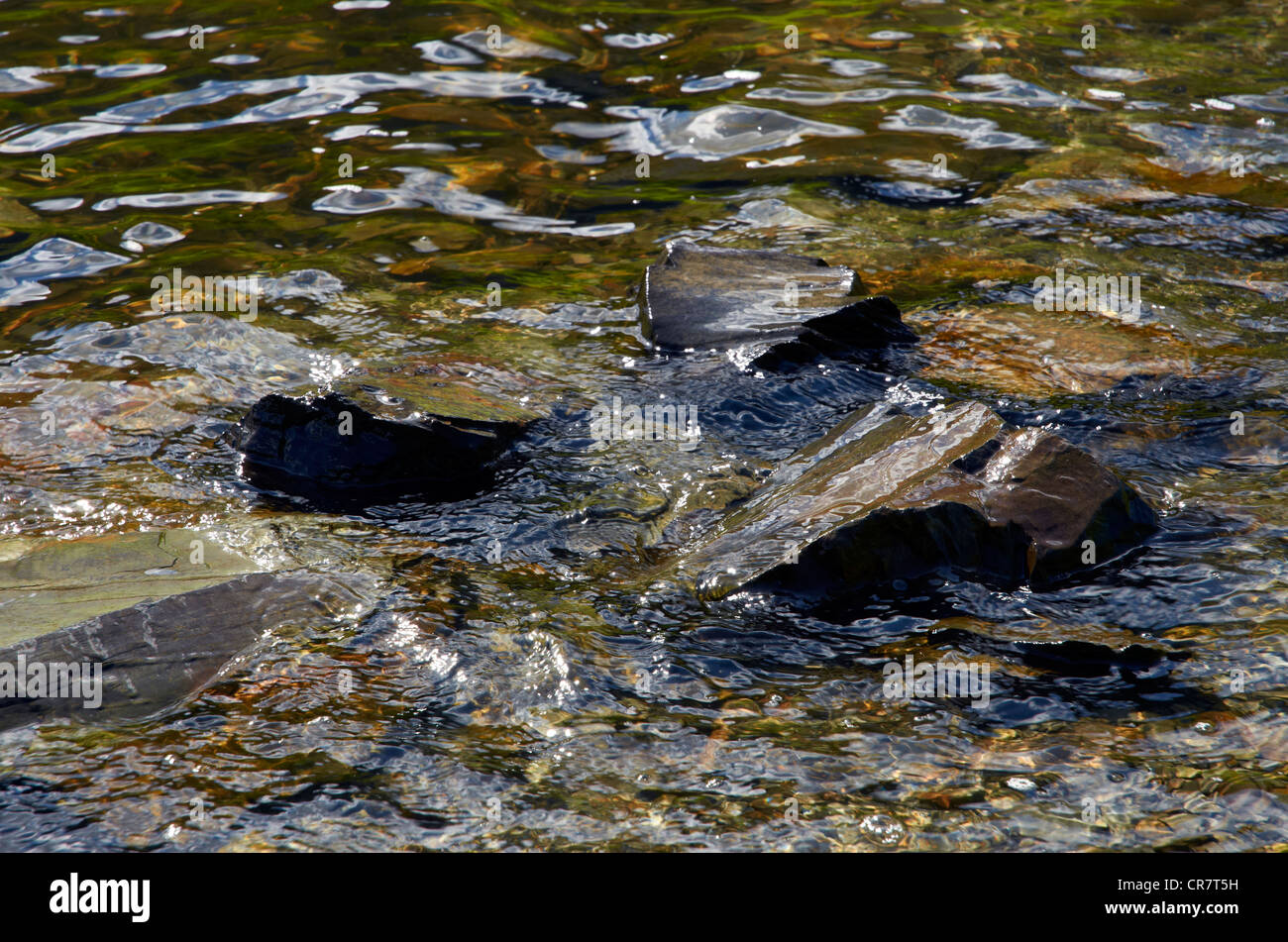 Dark brown peaty water washing over rocks on the shore of a lake in Snowdonia. Stock Photo