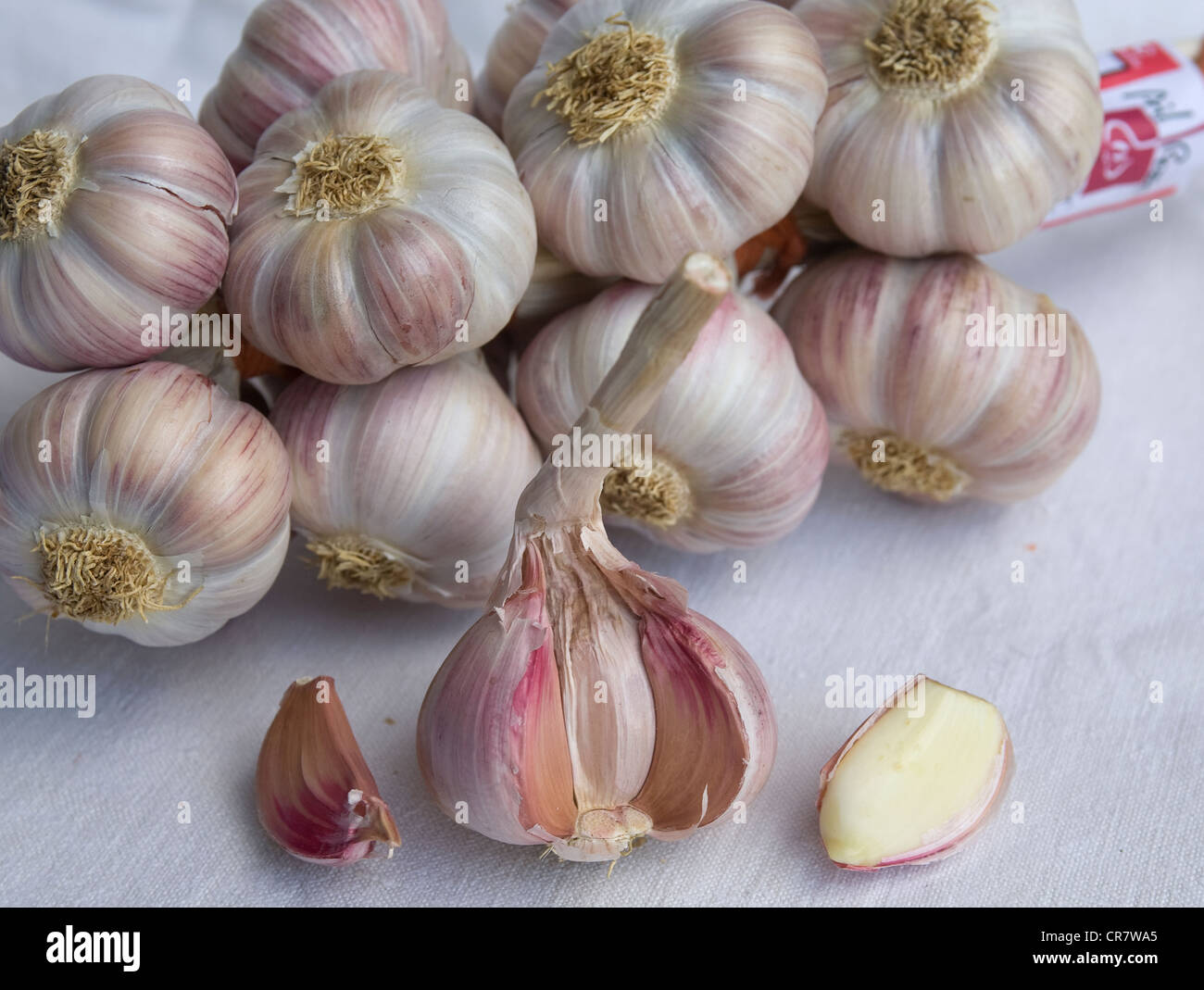 France, Tarn, Lautrec pink garlic, allium sativum Stock Photo