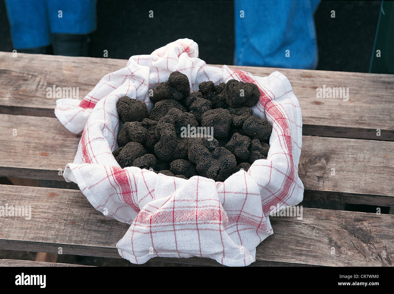 France, Lot, basket of truffles, Lalbenque Stock Photo
