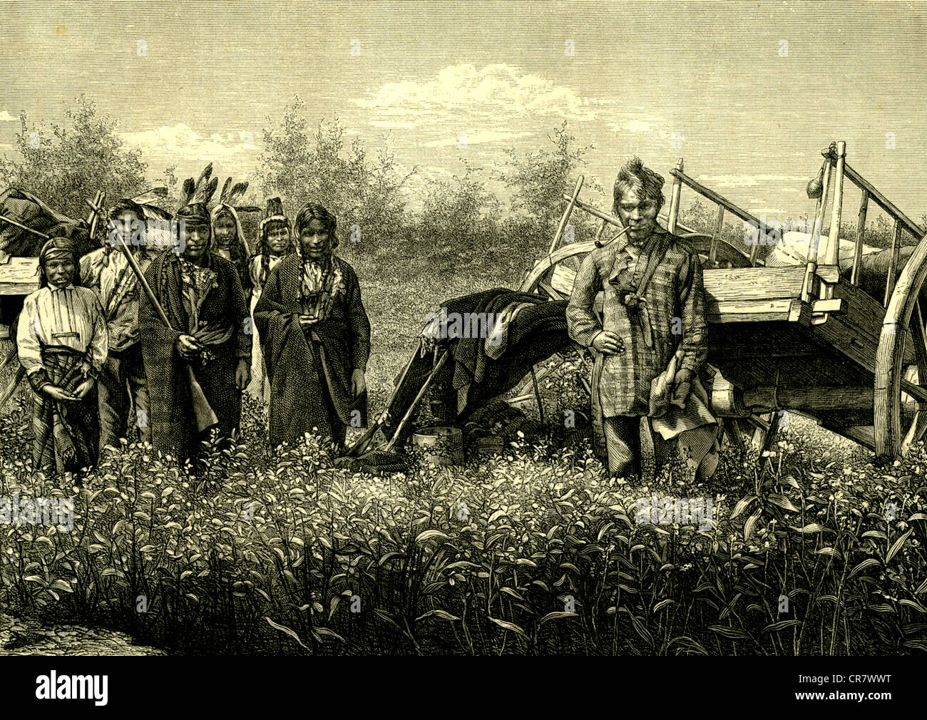 Chippeway indians hires stock photography and images Alamy