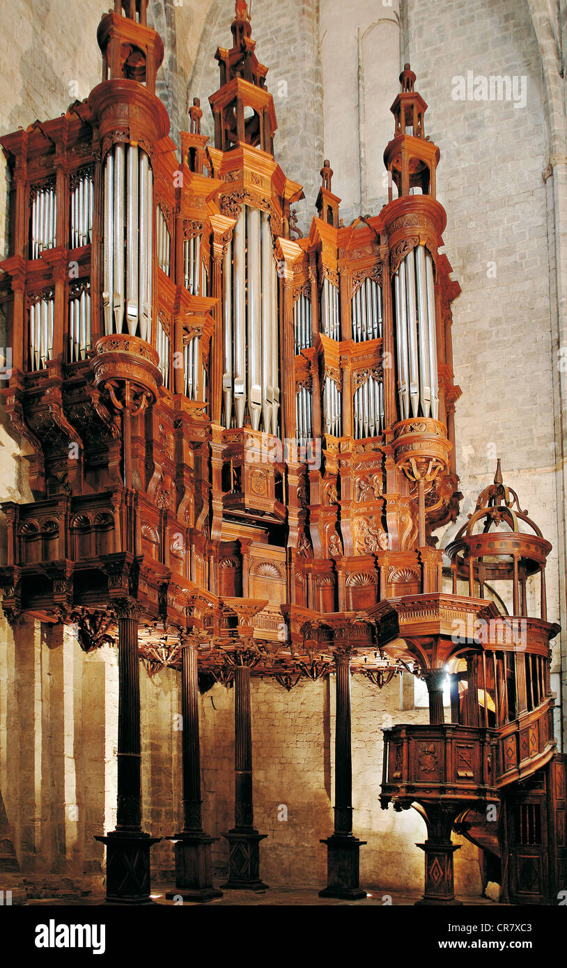 France, Haute Garonne, St Bertrand de Comminges, XVIth century organ of ...