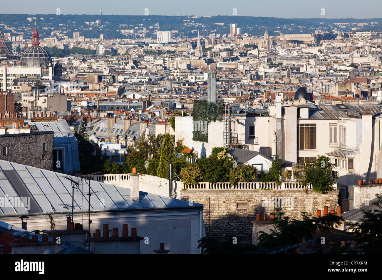 France, Paris, the city view from the heights of Montmartre, on a roof terrace green Stock Photo