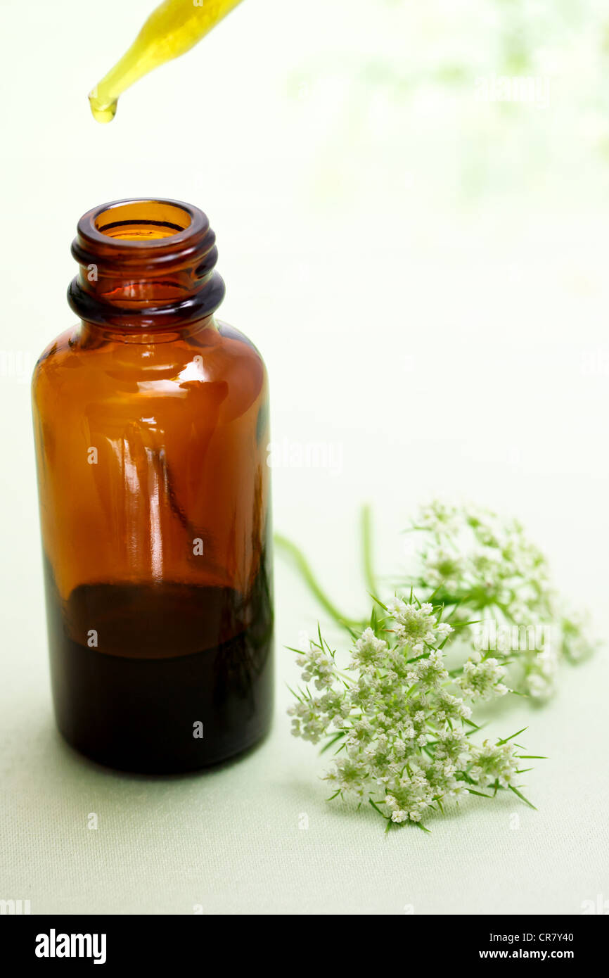 Herbal Extract in Dropper Bottle Stock Photo