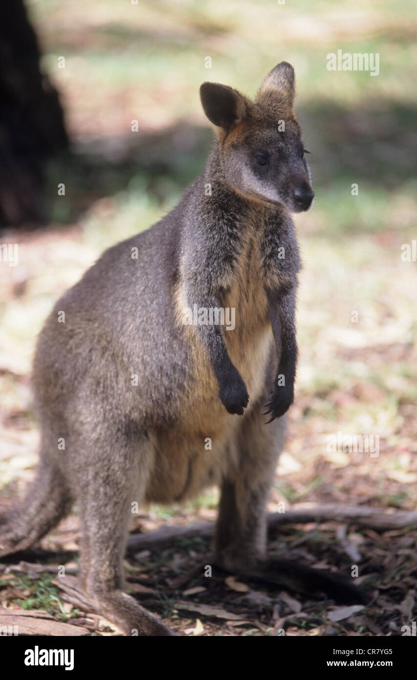 deleted Stock Photo