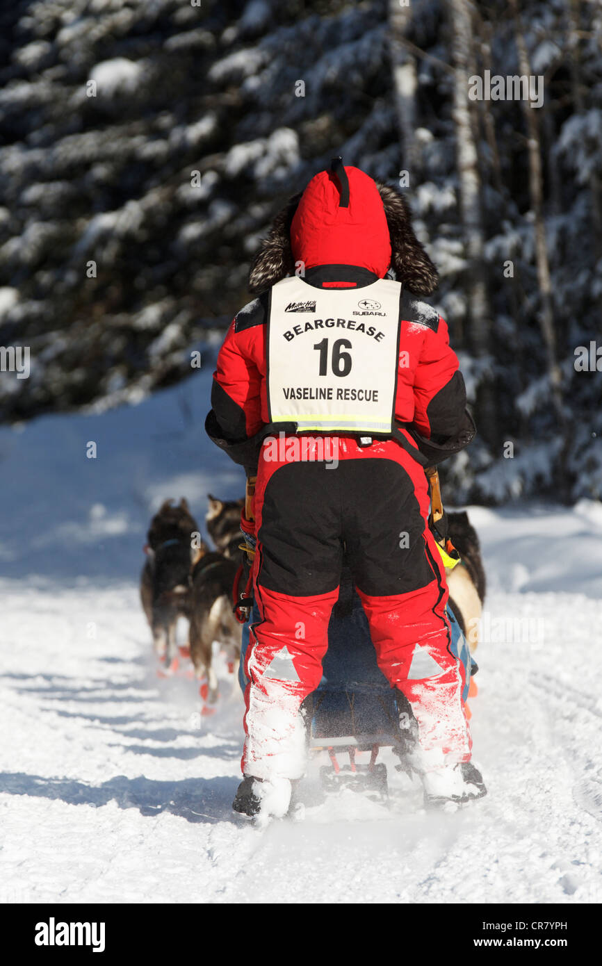 Musher Colleen Wallin competes on day 1 of the 2011 John Beargrease Sled Dog Marathon on January 30, 2011 in Duluth, Minnesota. Stock Photo