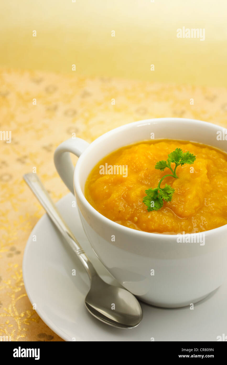Pumpkin or Squash Soup Stock Photo