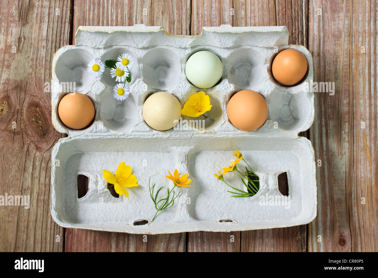 Organic colorful eggs with small flowers Stock Photo