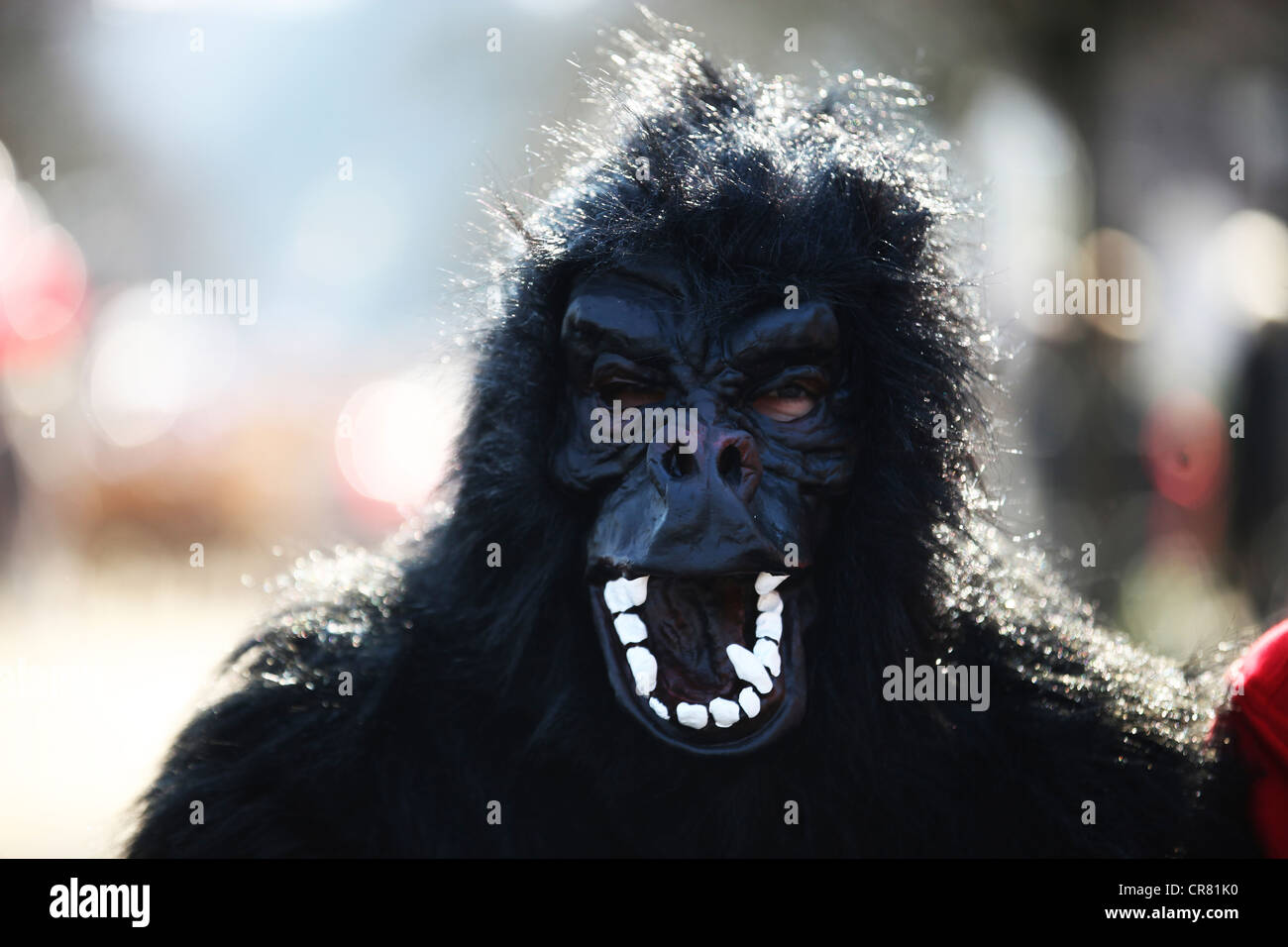 Gorilla Costume Party City