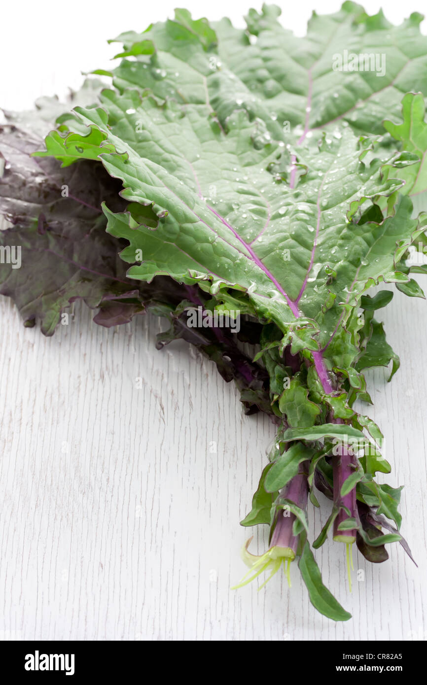 Fresh Kale Stock Photo