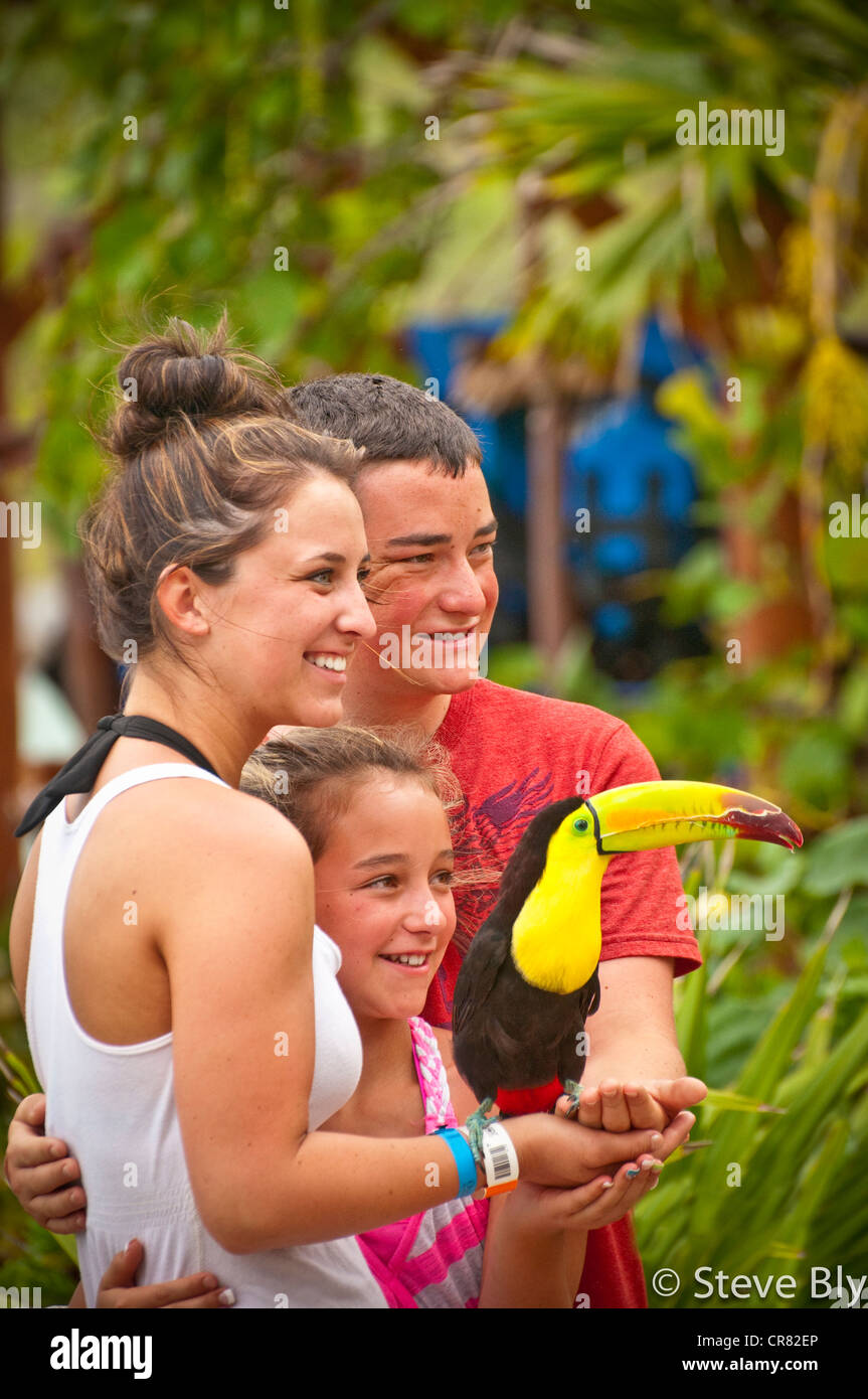 A family enjoys holding a Keel-billed toucan (Ramphastos sulfuratus) in the Riviera Maya, Quintana Roo, Mexico Stock Photo