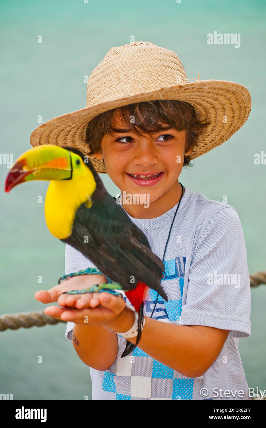 Young boy smiling while holding a Keel-billed toucan (Ramphastos sulfuratus), Riviera Maya, Quintana Roo, Mexico Stock Photo