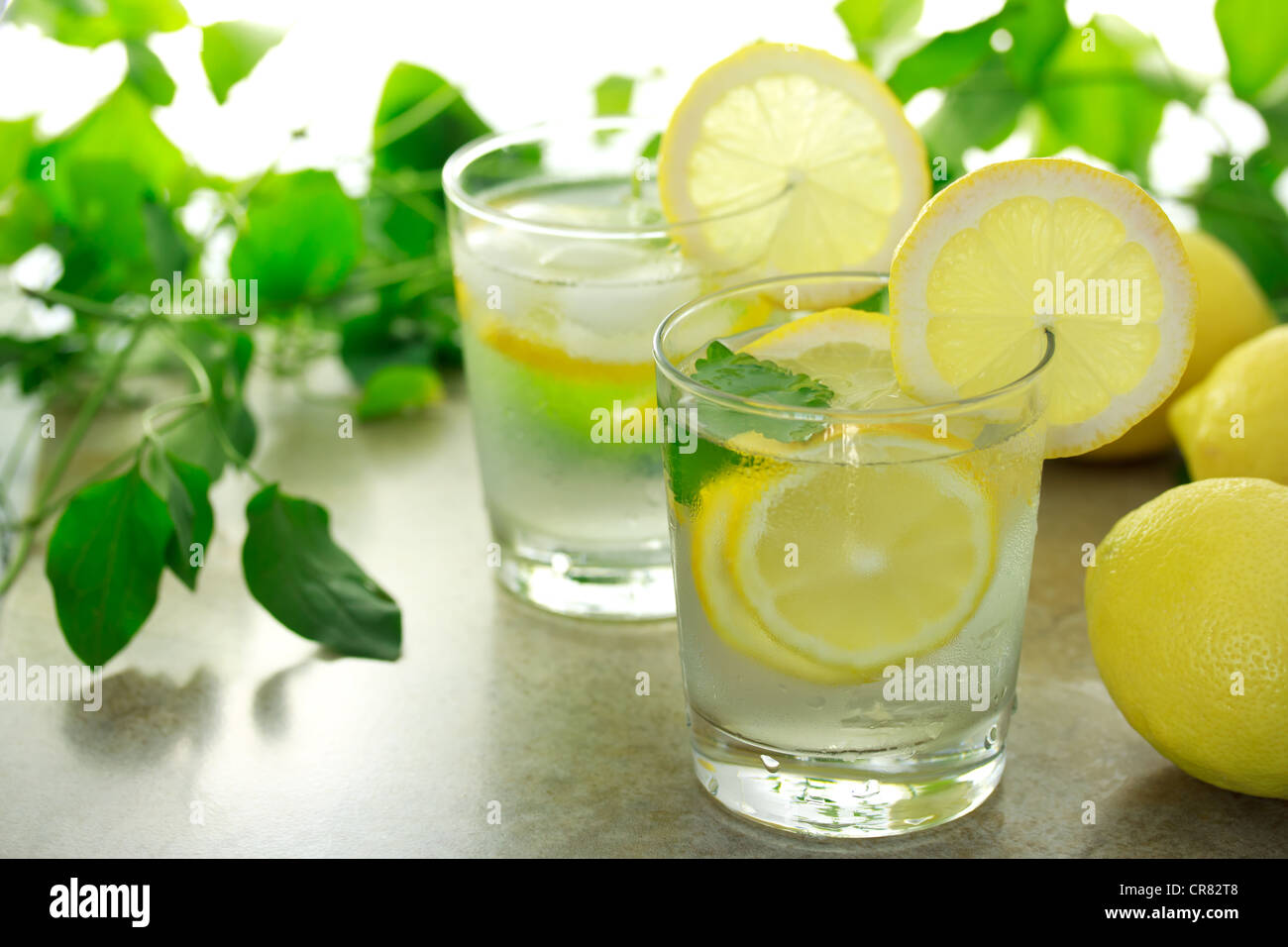 Refreshing Lemon Beverage Stock Photo